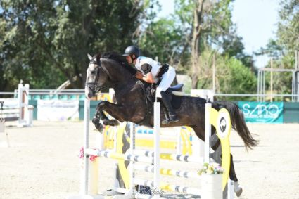 Elad 4 ves magyar sportl herlt 