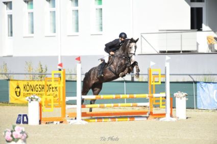 Elad 4 ves magyar sportl herlt 