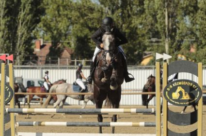 Elad 4 ves magyar sportl herlt 