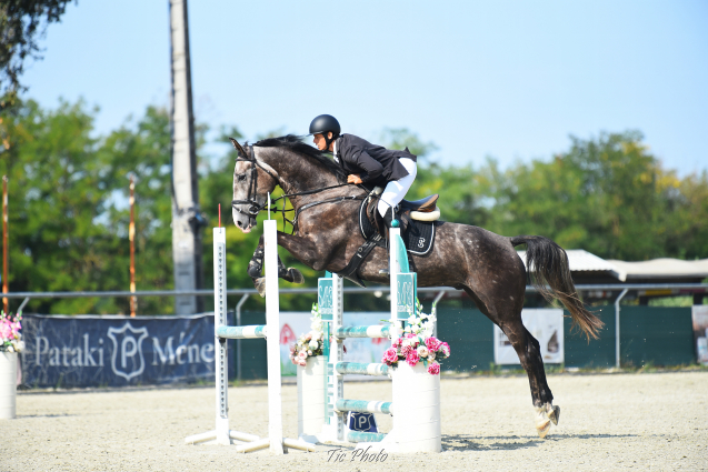 Elad 4 ves magyar sportl herlt 