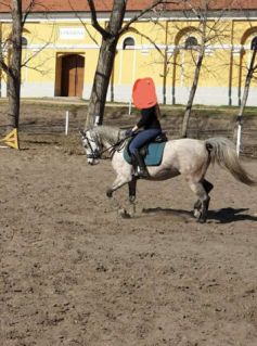 Elad� 12 �ves arab teliv�r kanca 