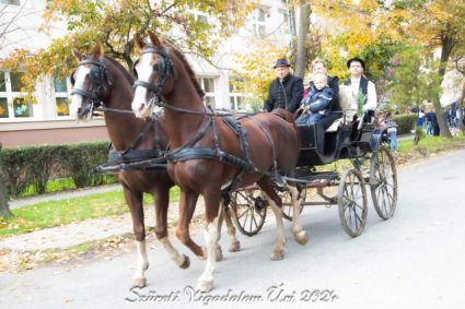 Elad� 17 �ves holland sportl�/KWPN m�n 