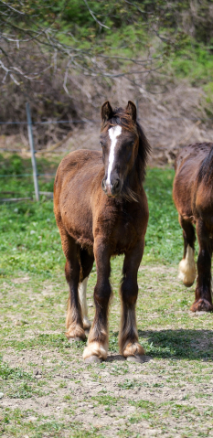 Elad� 11 h�napos tinker m�n 