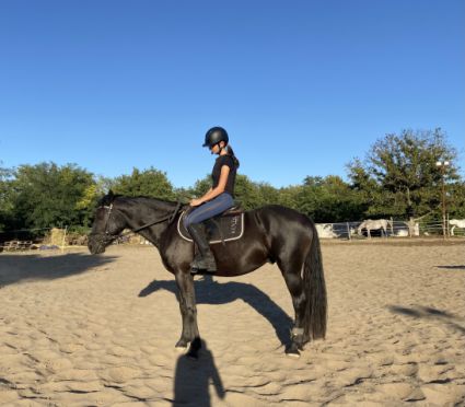 Elad 5 ves magyar flvr herlt 