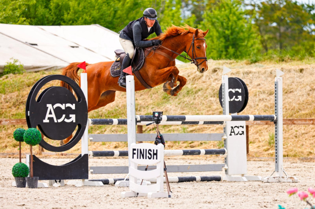 Elad 7 ves magyar sportl kanca 