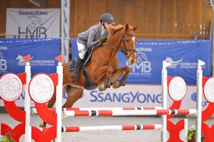 Elad 7 ves magyar sportl kanca 