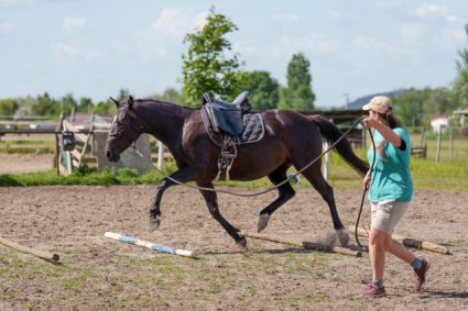 Elad� 5 �ves sportaloosa kanca 