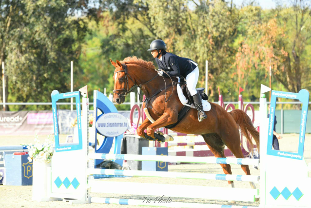 Elad 12 ves kisbri flvr herlt 