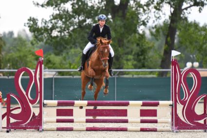 Elad� 10 �ves akhal-teke kanca 