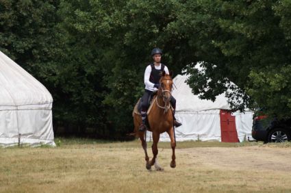 Elad� 10 �ves akhal-teke kanca 