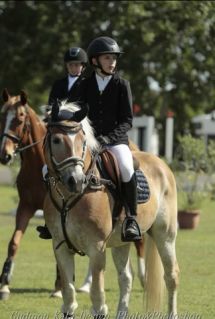 Elad� 10 �ves haflingi her�lt 