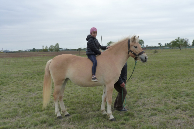 Elad 3 ves sportpni kanca 