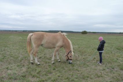 Elad 3 ves sportpni kanca 