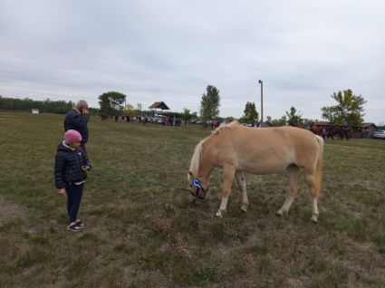 Elad 3 ves sportpni kanca 