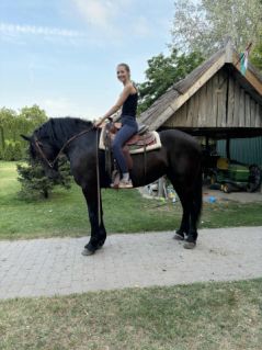 Elad� 5 �ves fr�z kanca 