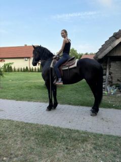 Elad� 5 �ves fr�z kanca 