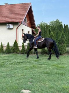 Elad� 5 �ves fr�z kanca 