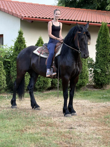 Elad� 5 �ves fr�z kanca 