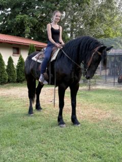 Elad� 5 �ves fr�z kanca 