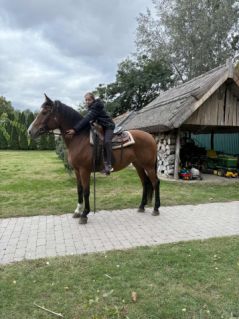 Elad� 9 �ves magyar f�lv�r kanca 