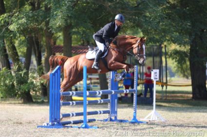 Elad� 12 �ves magyar sportl� m�n 