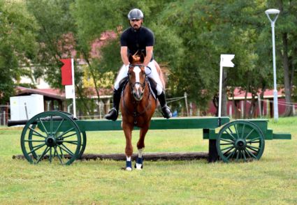 Elad� 12 �ves magyar sportl� m�n 