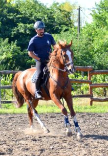 Elad� 12 �ves magyar sportl� m�n 