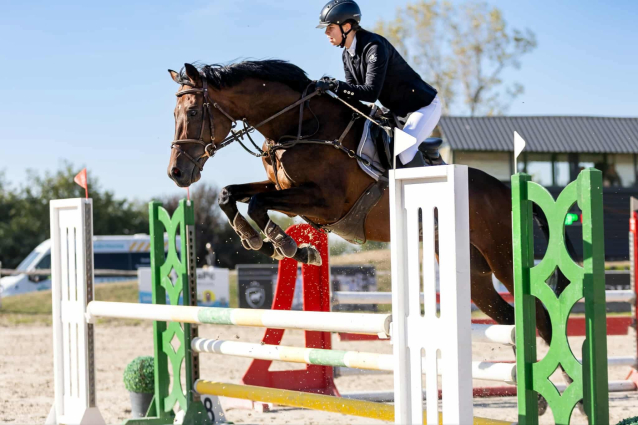 Elad� 8 �ves angol teliv�r her�lt 