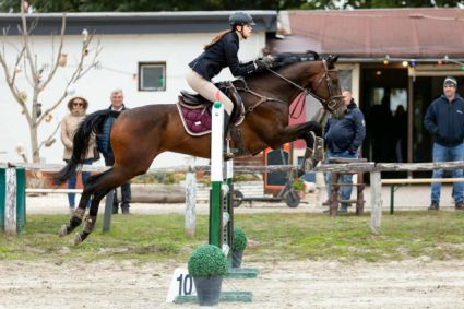 Elad� 8 �ves angol teliv�r her�lt 