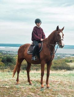 Elad� 14 �ves gidr�n her�lt 