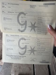 Elad� 14 �ves gidr�n her�lt 