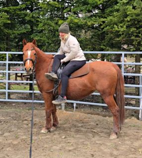 Elad� 12 �ves kisl� kanca 
