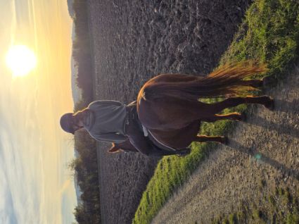 Elad� 12 �ves kisl� kanca 