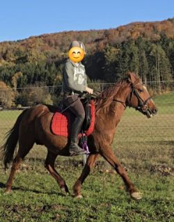 Elad� 12 �ves kisl� kanca 
