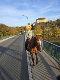 Elad� 12 �ves kisl� kanca 