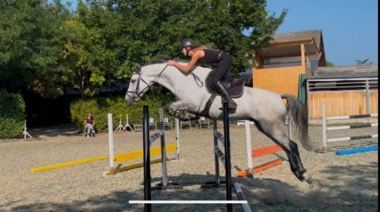 Elad� 8 �ves magyar f�lv�r her�lt 