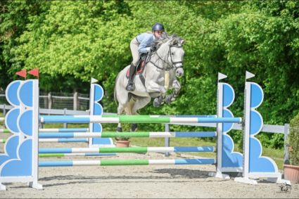 Elad� 13 �ves selle francais kanca 