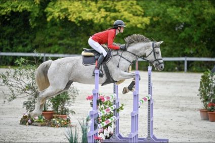 Elad� 13 �ves selle francais kanca 