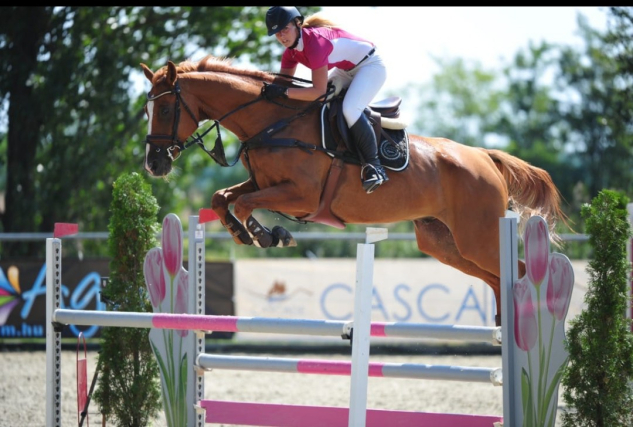 Elad� 18 �ves oldenburgi her�lt 