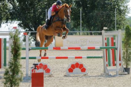 Elad� 18 �ves oldenburgi her�lt 