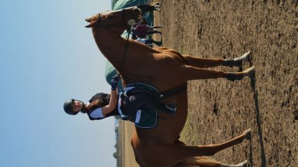 Elad� 18 �ves oldenburgi her�lt 