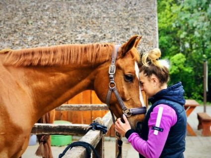 Elad� 18 �ves oldenburgi her�lt 