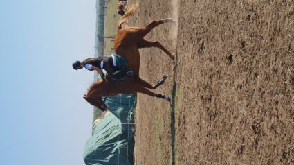 Elad� 18 �ves oldenburgi her�lt 