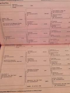 Elad� 18 �ves oldenburgi her�lt 