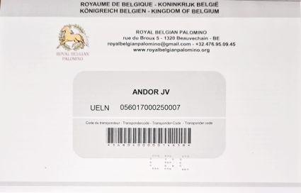 Elad� 3 �ves belga melegv�r� m�n 