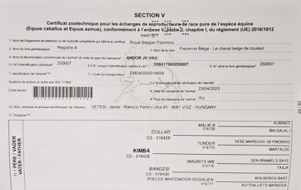 Elad� 3 �ves belga melegv�r� m�n 