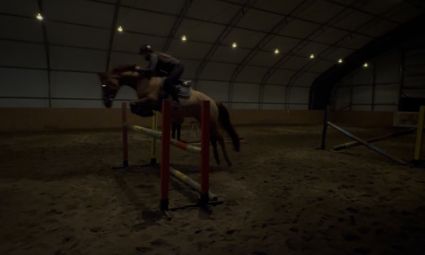 Elad� 5 �ves magyar sportf�lv�r kanca 