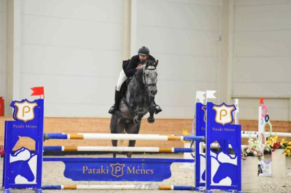 Elad� 8 �ves oldenburgi her�lt 