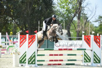 Elad� 8 �ves oldenburgi her�lt 