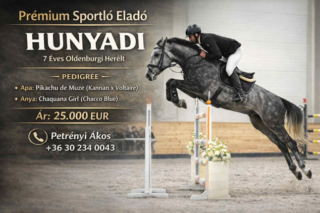 Elad� 8 �ves oldenburgi her�lt 